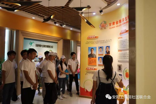 絲路新世界 青春中國夢 張掖科技中介服務調研實踐報告